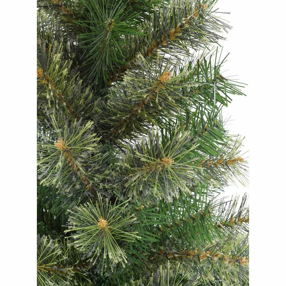 Fraser Hill Farm Set Of 2, Porch Accent Tree In Black Pot, 3 Fraser Hill Farm Set Of 2, Porch Accent Tree In Black Pot, - Image 3