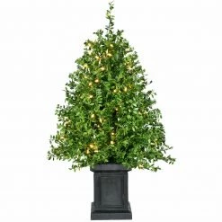 Fraser Hill Farm 3-Ft. Boxwood Porch Tree In Black Pot With Warm White Lights