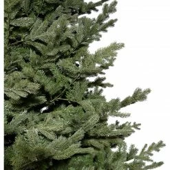 Fraser Hill Farm Foxtail Pine Christmas Tree, Various Sizing And Lighting Options -Christmas store unnamed file 2964
