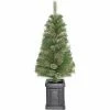 Fraser Hill Farm Porch Accent Tree In Black Pot, Various Lighting Options