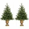 Fraser Hill Farm Noble Fir Set Of 2 Christmas Trees With Metallic Urn Base, Various Sizes And Lighting Options