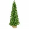 Fraser Hill Farm 3-Ft. Boxwood Porch Tree In Burlap Bag