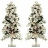 Fraser Hill Farm Set Of Two 2-Ft. Snowy Alpine Trees With Clear Lights