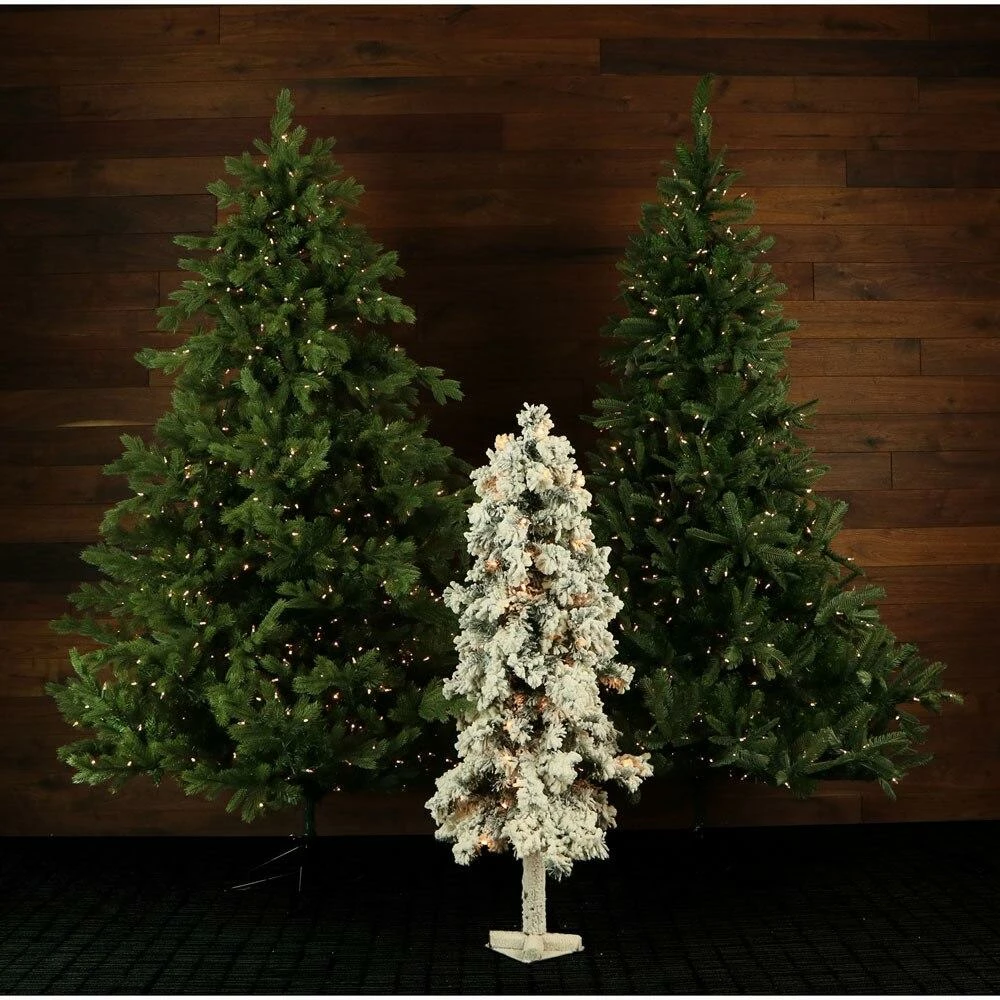 Fraser Hill Farm Set Of 3 Snowy Alpine Trees With Clear Lights (2-Ft., 3-Ft., & 4-Ft.) 7 Fraser Hill Farm Set Of 3 Snowy Alpine Trees With Clear Lights (2-Ft., 3-Ft., & 4-Ft.) - Image 7