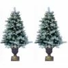 Fraser Hill Farm FHF 4.5' Porch Tree With Pincone, Gold Pedestal Pot, WW LED, SET 2 - Light Snow