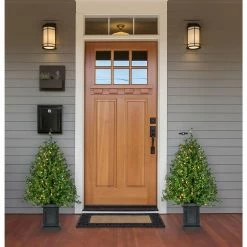 Fraser Hill Farm Boxwood Porch Tree In Black Pot With Warm White Lights, Set Of 2 37 Fraser Hill Farm Boxwood Porch Tree In Black Pot With Warm White Lights, Set Of 2 -Christmas store unnamed file 3236