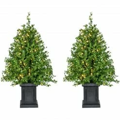 Fraser Hill Farm Boxwood Porch Tree In Black Pot With Warm White Lights, Set Of 2 40 Fraser Hill Farm Boxwood Porch Tree In Black Pot With Warm White Lights, Set Of 2 -Christmas store unnamed file 3239