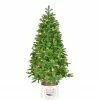 Fraser Hill Farm 4.5-Ft. Porch Tree In Reindeer Pot With Warm White LED Lights