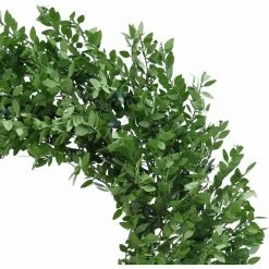 Fraser Hill Farm 24" Boxwood Green Christmas Décor Wreath With Clear LED Lights 9 Fraser Hill Farm 24" Boxwood Green Christmas Décor Wreath With Clear LED Lights -Christmas store unnamed file 631
