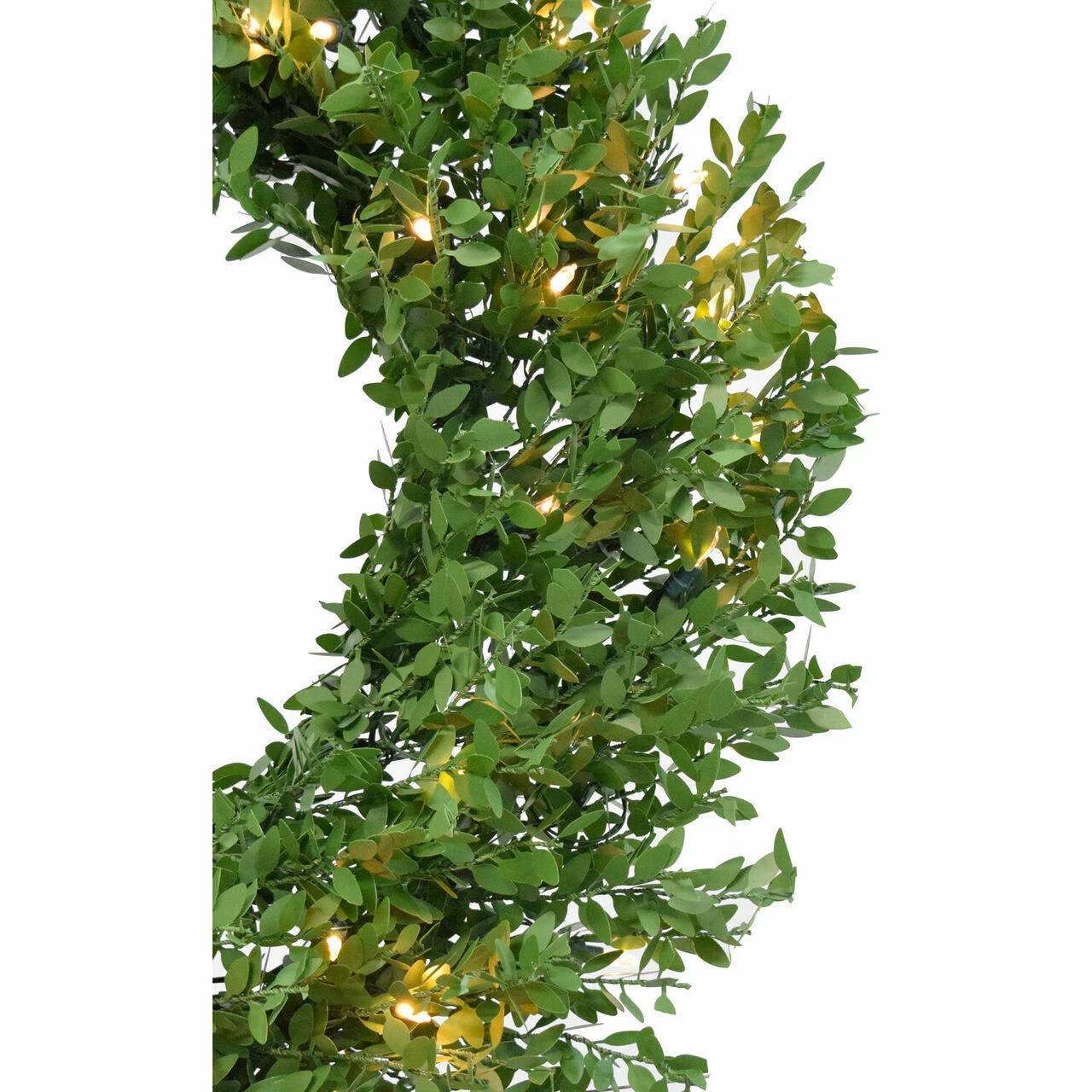 Fraser Hill Farm 24" Boxwood Green Christmas Décor Wreath With Clear LED Lights 5 Fraser Hill Farm 24" Boxwood Green Christmas Décor Wreath With Clear LED Lights - Image 5