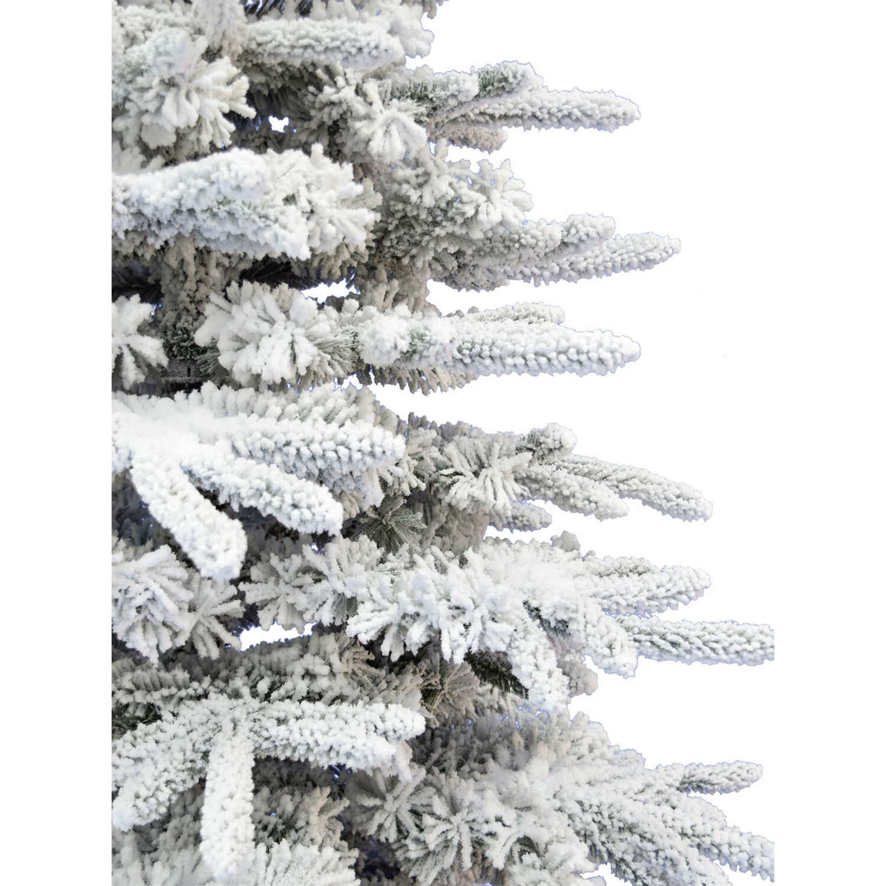 Fraser Hill Farm Mountain Pine Flocked Christmas Tree, Various Lighting & Size (6.5 Ft. To 12 Ft.) 4 Fraser Hill Farm Mountain Pine Flocked Christmas Tree, Various Lighting & Size (6.5 Ft. To 12 Ft.) - Image 4