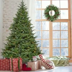 Fraser Hill Farm 24-in Wreath With Pinecones, Red Berries, And Warm White LED Lights -Christmas store unnamed file 753