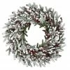 Fraser Hill Farm 25-In. Flocked Wreath Door Or Wall Hanging - With Berries